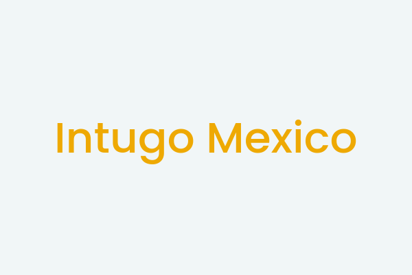 Logo de Intugo Mexico